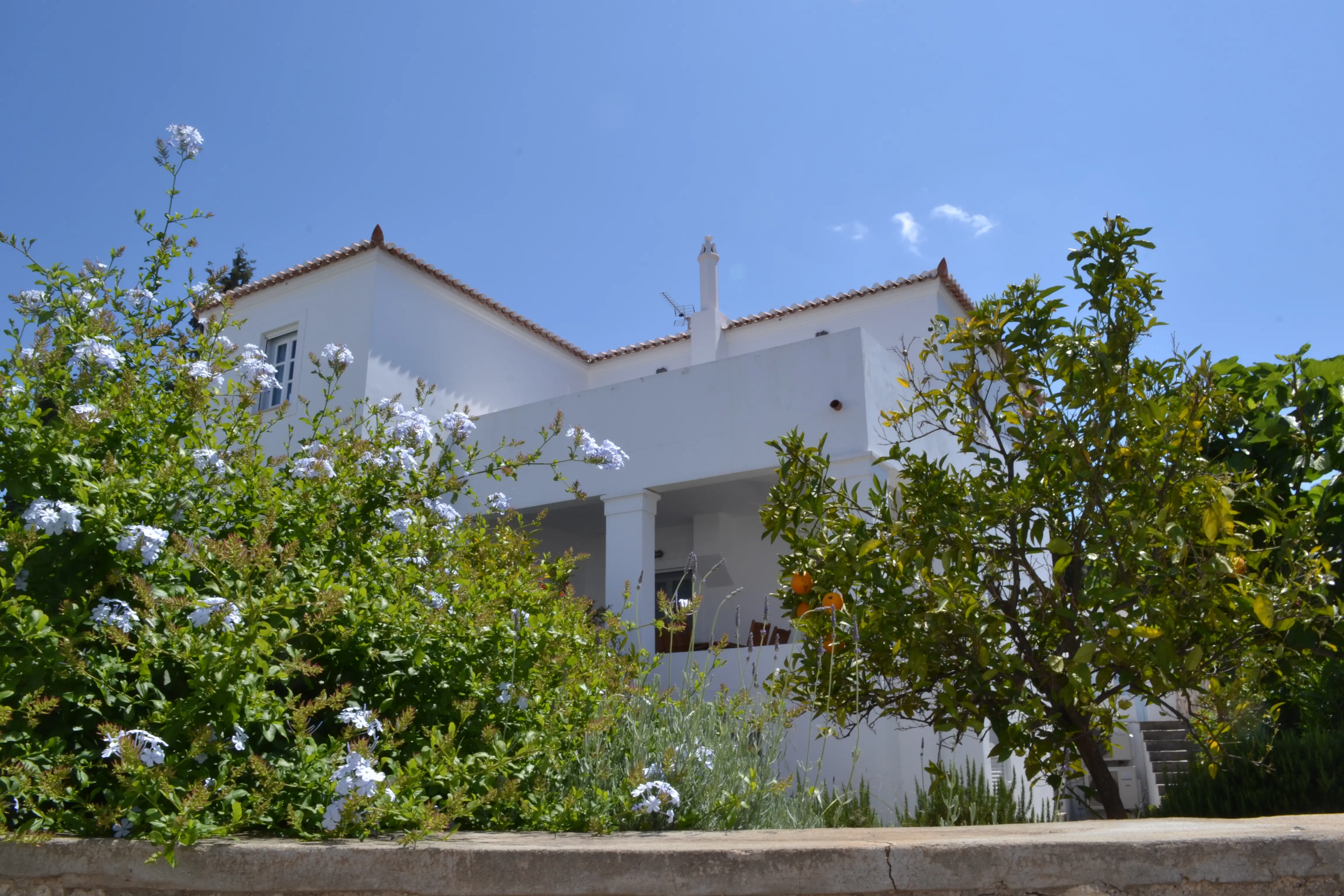 Green Villa