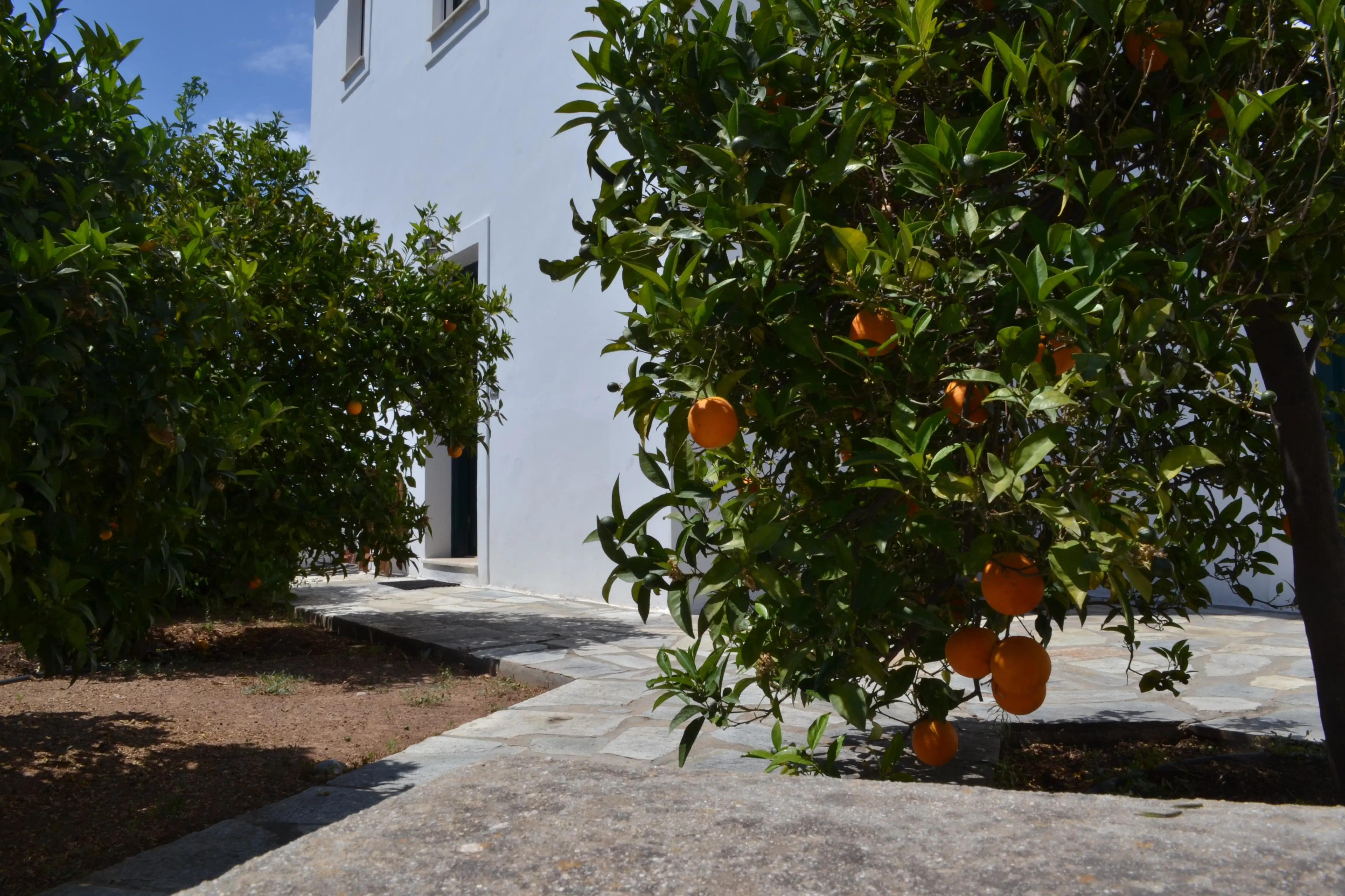 Resort Terrace
