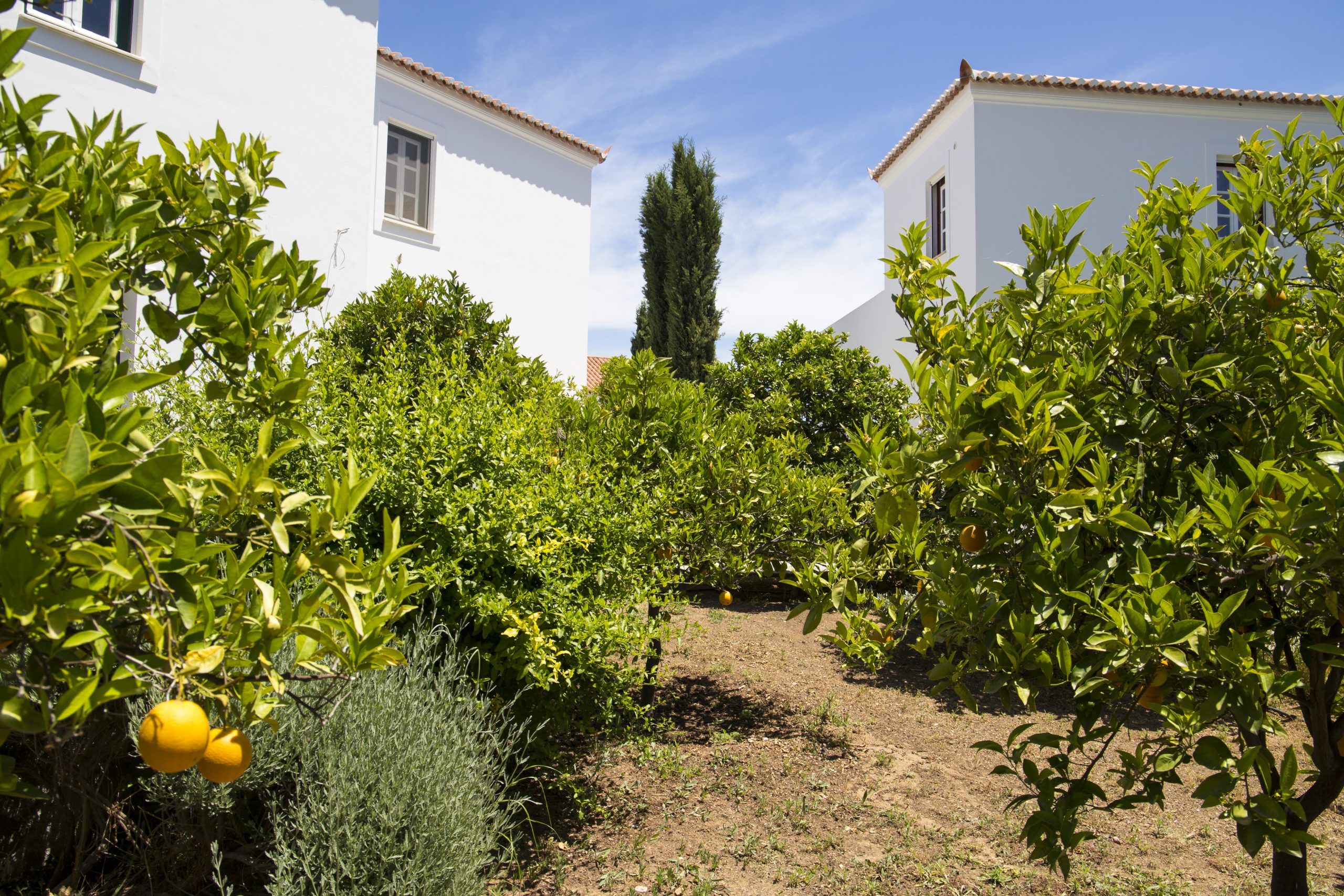 Villa photo 14